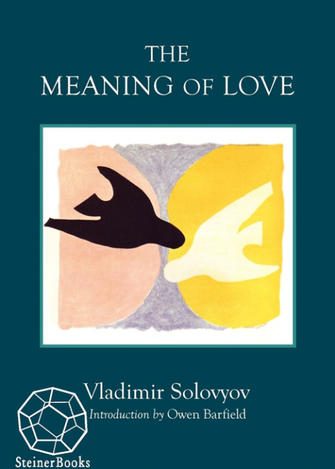 Cover image for book The Meaning of Love