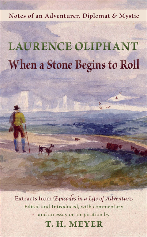Cover image for book When a Stone Begins to Roll
