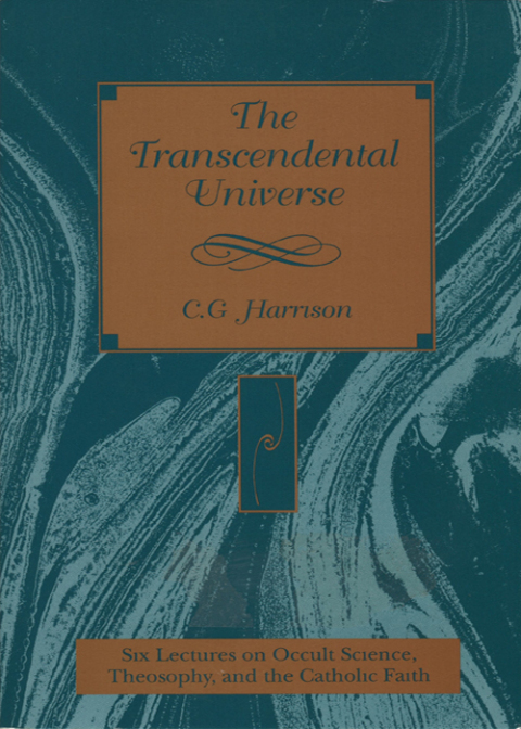 Cover image for book The Transcendental Universe