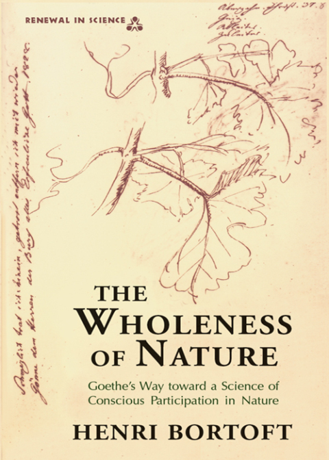 Cover image for book The Wholeness of Nature