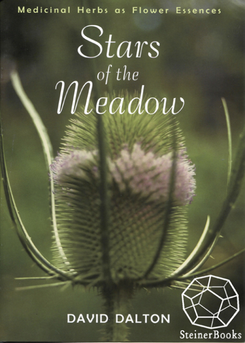 Cover image for book Stars of the Meadow