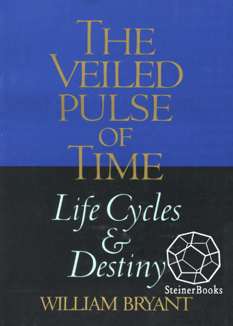 Cover image for book The Veiled Pulse of Time
