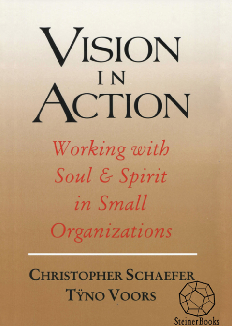 Cover image for book Vision in Action
