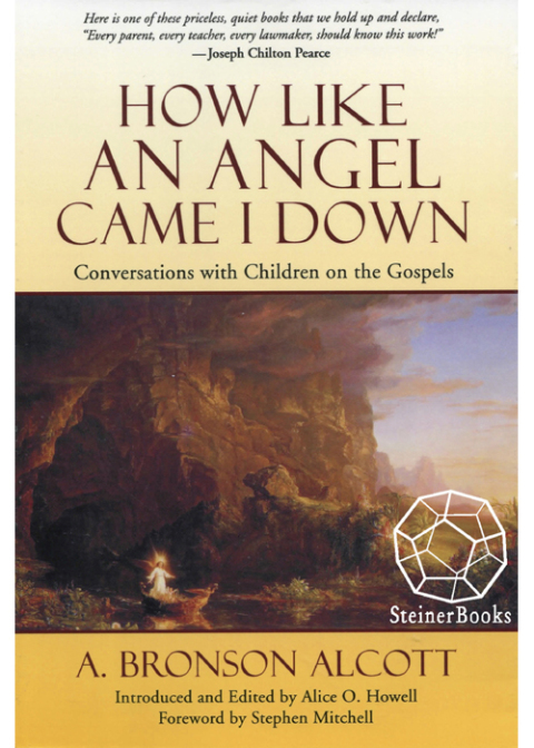 Cover image for book How Like an Angel Came I Down