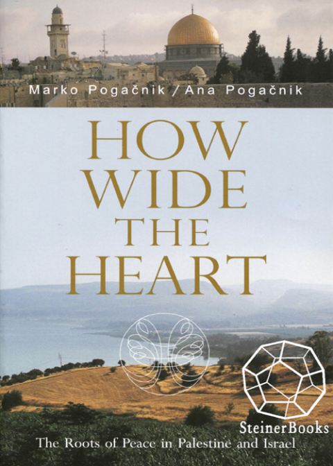 Cover image for book How Wide the Heart