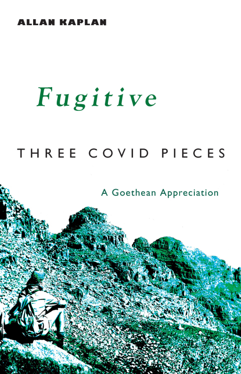 Cover image for book Fugitive