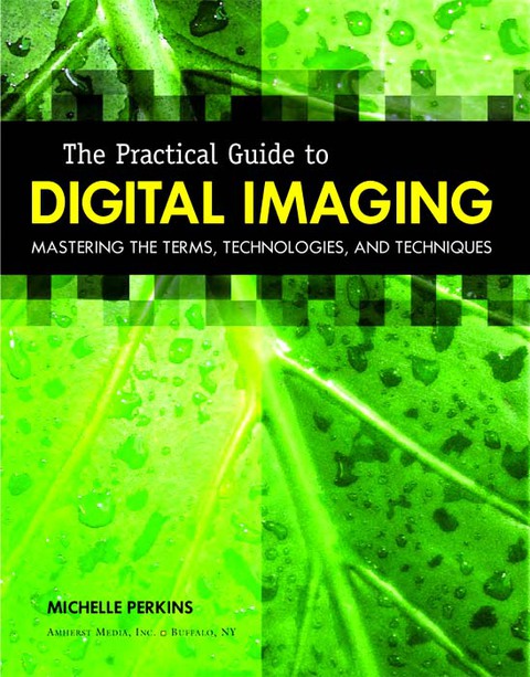 Cover image for book The Practical Guide to Digital Imaging