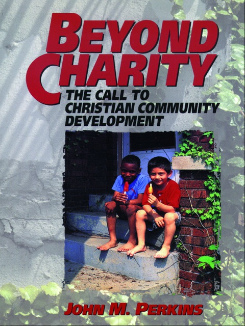 Cover image for book Beyond Charity