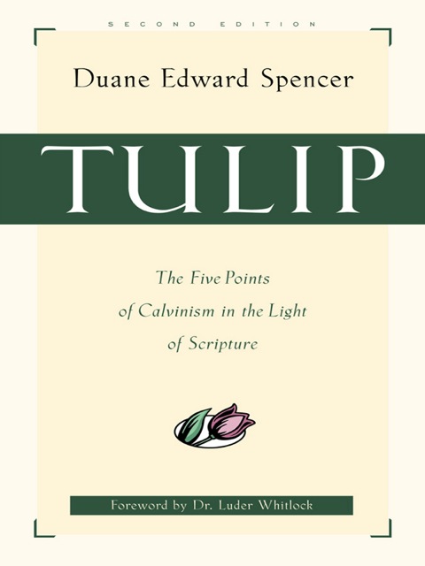 Cover image for book Tulip