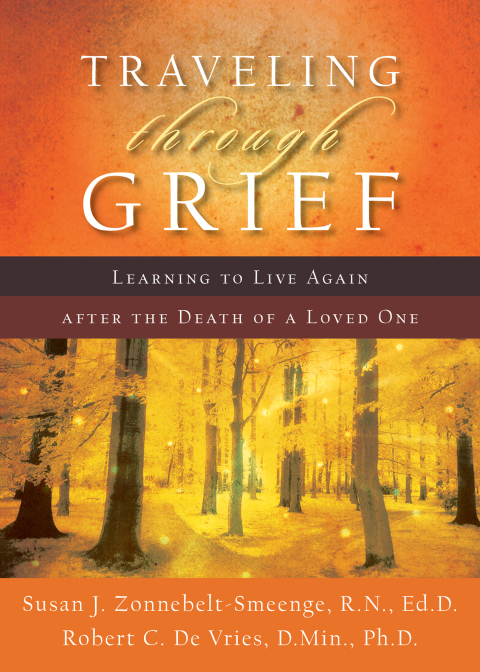 Cover image for book Traveling through Grief