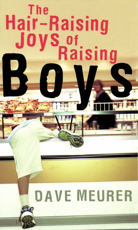 Cover image for book The Hair-Raising Joys of Raising Boys