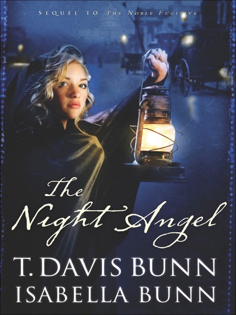 Cover image for book The Night Angel