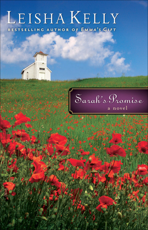 Cover image for book Sarah's Promise