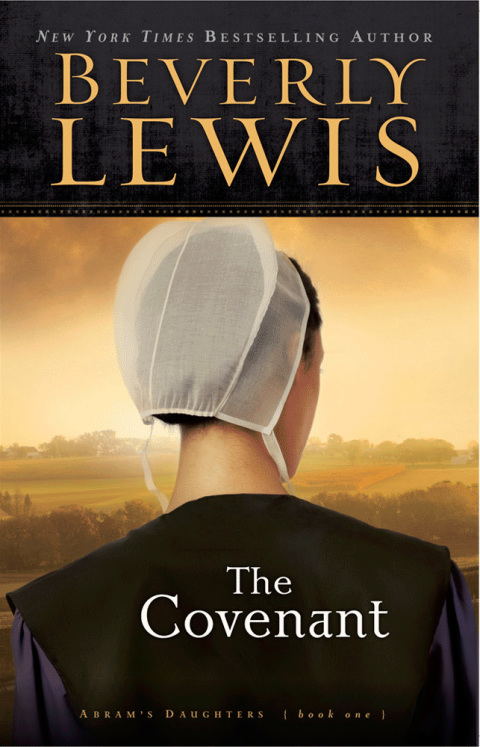 Cover image for book The Covenant