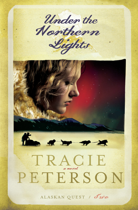 Cover image for book Under the Northern Lights