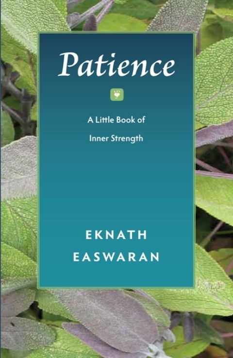 Cover image for book Patience