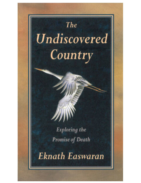 Cover image for book The Undiscovered Country