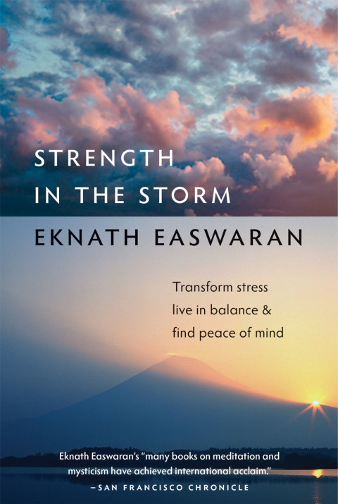 Cover image for book Strength in the Storm