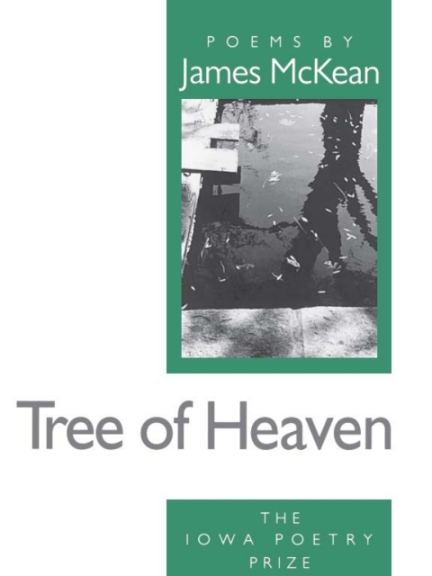 Cover image for book Tree of Heaven