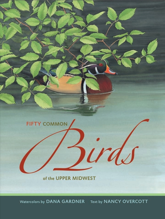 Fifty Common Birds of the Upper Midwest