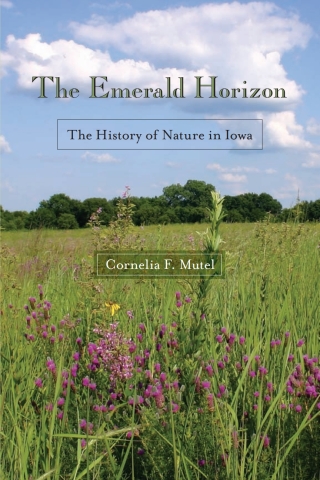 The Emerald Horizon