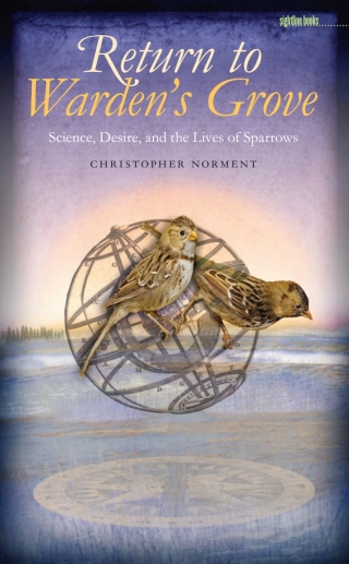 Return to Warden's Grove