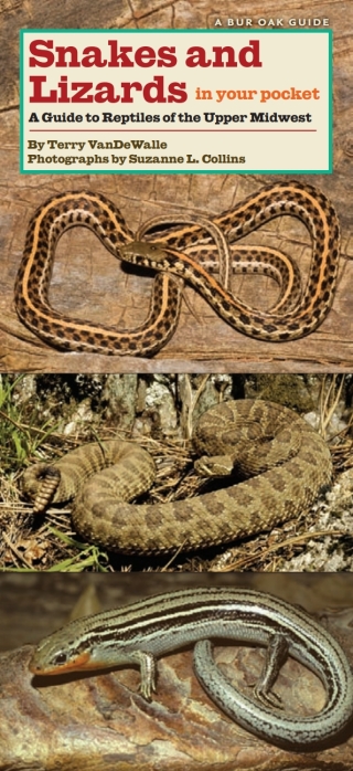 Snakes and Lizards in Your Pocket