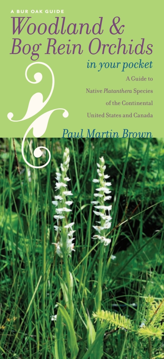 Woodland and Bog Rein Orchids in Your Pocket