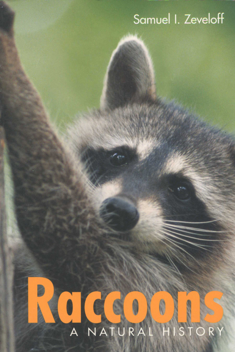 Cover image for book Raccoons