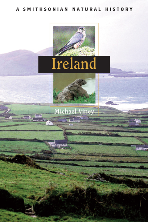 Cover image for book Ireland