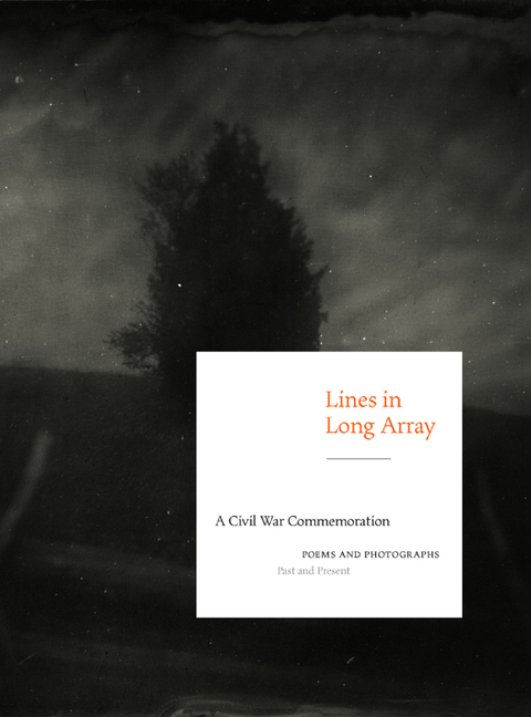 Cover image for book Lines in Long Array