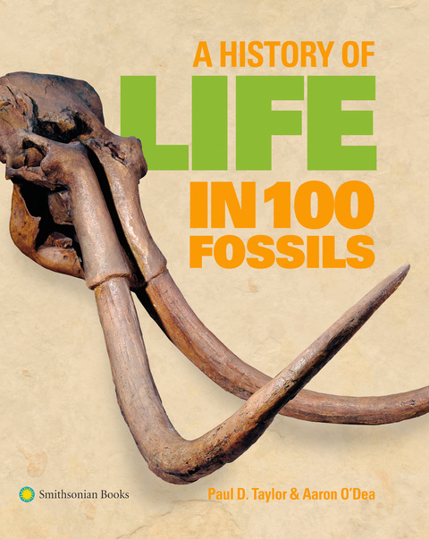 Cover image for book A History of Life in 100 Fossils