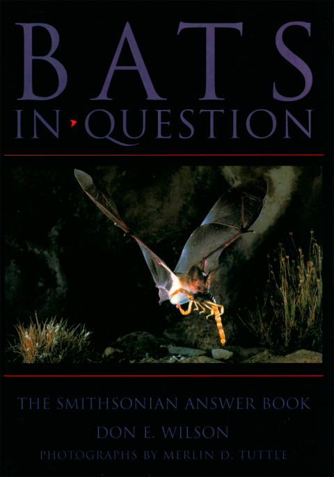 Cover image for book Bats in Question