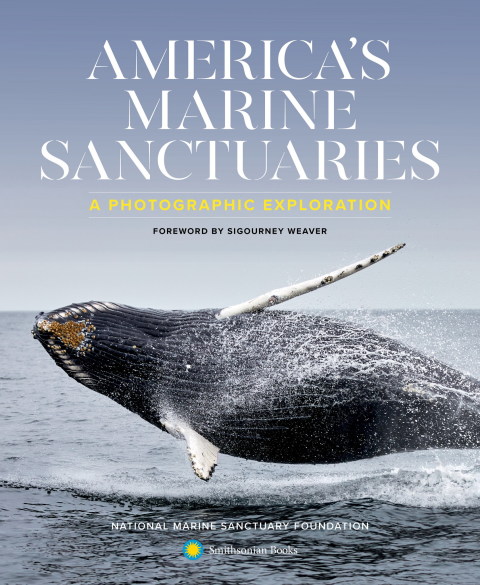 Cover image for book America's Marine Sanctuaries