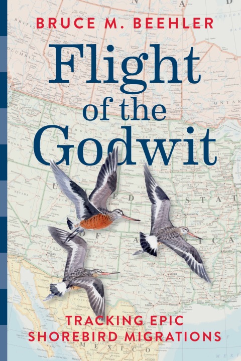Cover image for book Flight of the Godwit