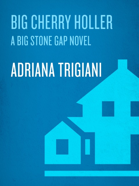 Cover image for book Big Cherry Holler