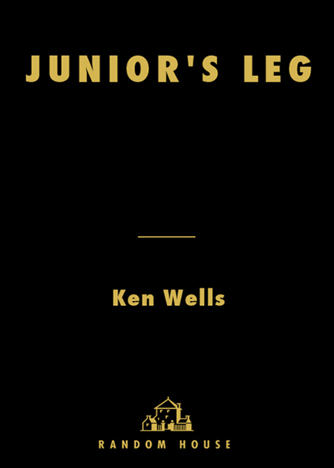 Cover image for book Junior's Leg