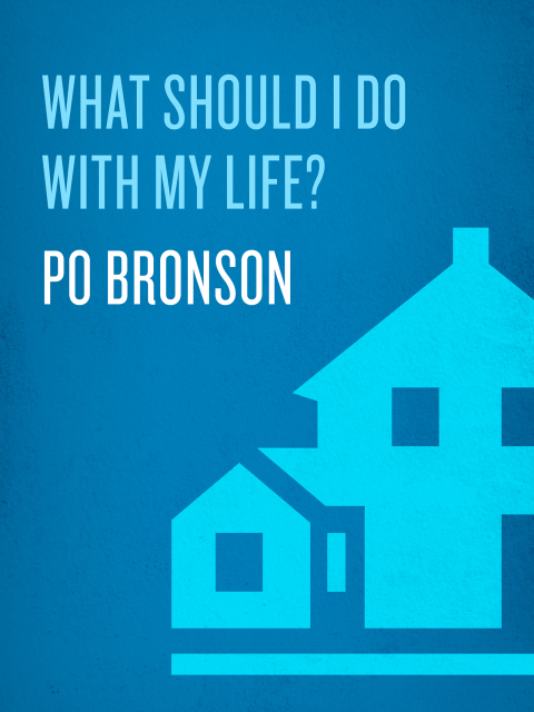 Cover image for book What Should I Do with My Life?