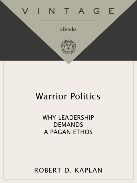 Cover image for book Warrior Politics