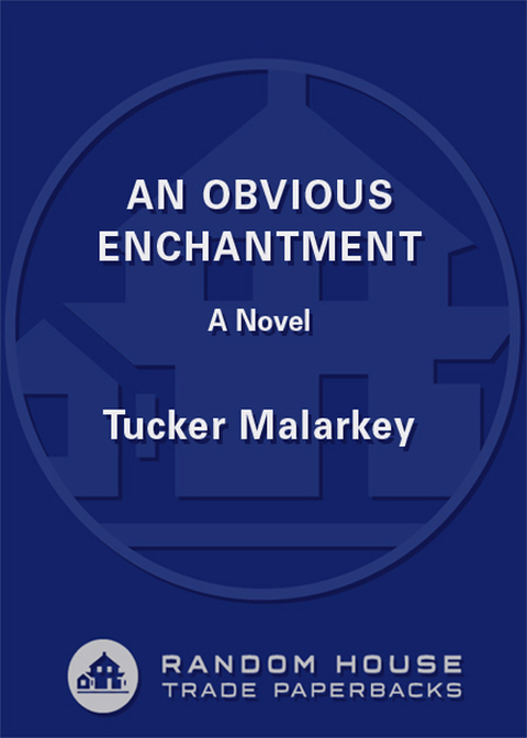 Cover image for book An Obvious Enchantment
