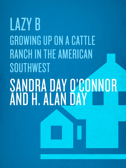 Cover image for book Lazy B