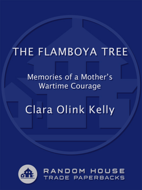 Cover image for book The Flamboya Tree