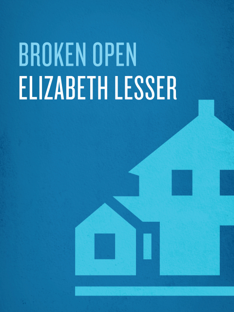 Cover image for book Broken Open