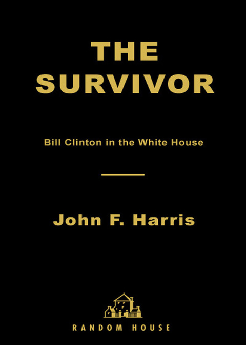 Cover image for book The Survivor