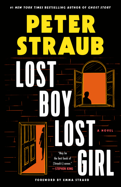 Cover image for book Lost Boy Lost Girl