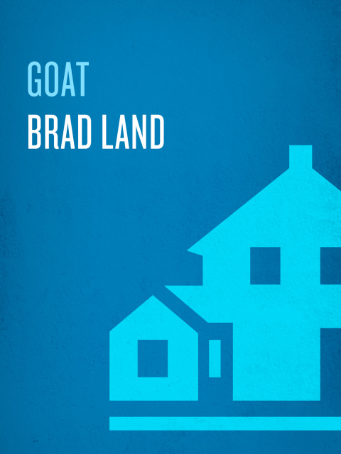 Cover image for book Goat