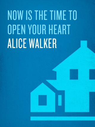 Now Is the Time to Open Your Heart