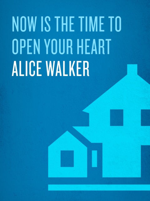 Cover image for book Now Is the Time to Open Your Heart