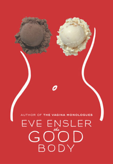 Cover image for book The Good Body