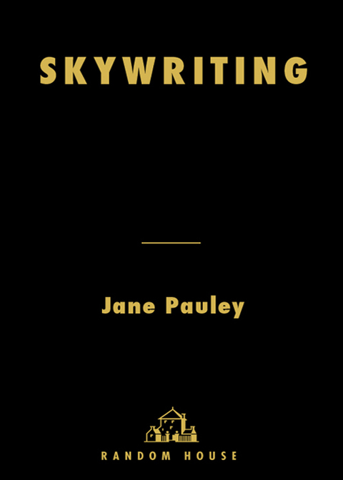 Cover image for book Skywriting
